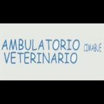 ambulatorio-veterinario-cimabue