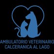 ambulatorio-veterinario-calceranica-al-lago-arici-eccel
