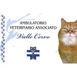 ambulatorio-veterinario-associato-valle-cervo