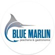 blue-marlin-pescheria-gastronomia