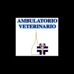 ambulatorio-veterinario-dr-capussotti-silvano