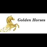 centro-ippico-golden-horses
