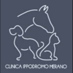 clinica-veterinaria-ippodromo-merano