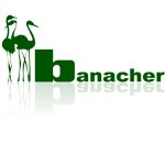 banacher-discoteca