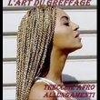 l-art-du-greffage---treccine-afro---allungamento-capelli