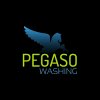 pegaso-washing-autolavaggio-a-domicilio
