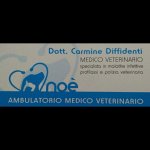 veterinario-carmine-dr-diffidenti