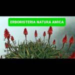 erboristeria-natura-amica