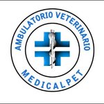 ambulatorio-veterinario-medicalpet---dr-sse-valeria-riolo-e-sara-franceschini