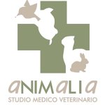 animalia-studio-medico-veterinario-dott-sola-calogero