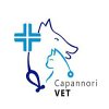 ambulatorio-medico-veterinario-capannorivet-del-dott-luca-cassiani