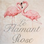 le-flamant-rose