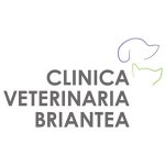 clinica-veterinaria-briantea-dr-federico-ape