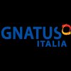 gnatus-italia---riuniti-dentali