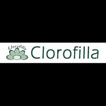 clorofilla---danilo-botta