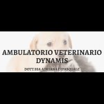 ambulatorio-veterinario-dynamis-della-dott-ssa-adriana-dipasquale