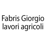 fabris-giorgio-lavori-agricoli