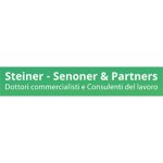 steiner---senoner-e-partners