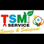 tsm-service
