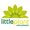 little-plant-vivaio