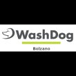 wash-dog-bolzano