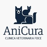 clinica-veterinaria-foce