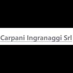 carpani-ingranaggi-srl