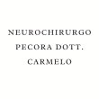 neurochirurgo-pecora-dott-carmelo