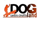 dogland-centro-cinofilo