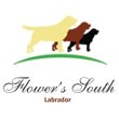 flower-s-south