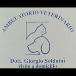 ambulatorio-veterinario-soldaini-dott-giorgio