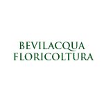 bevilacqua-floricoltura