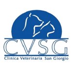 clinica-veterinaria-san-giorgio