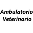 ambulatorio-veterinario