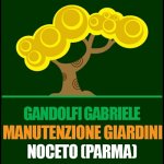 gandolfi-gabriele-manutenzione-giardini