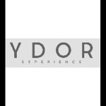 ydor-experience---parrucchieri