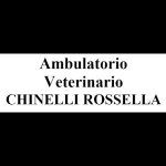 ambulatorio-veterinario-chinelli