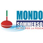 mondo-sommerso-mimmo-d-alise