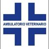 ambulatorio-veterinario-dott-francesco-orsi