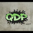 qdp-service-srls