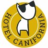 hotel-canifornia-pensione-per-cani