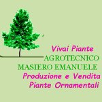 vivai-piante-masiero-emanuele-agrotecnico
