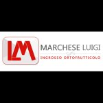 marchese-luigi-srl