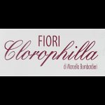 clorophilla-fiori