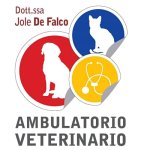 ambulatorio-veterinario-de-falco
