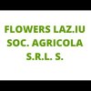 vivaio-flowers-laz-iu-societa-agricola