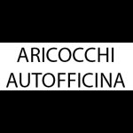 aricocchi-autofficina