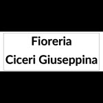 fioreria-ciceri-giuseppina