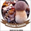 multari-funghi