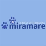 clinica-veterinaria-miramare